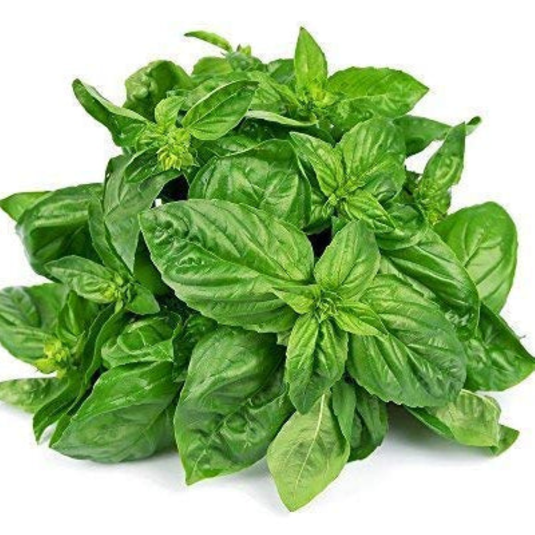 AAA BASIL 50G
